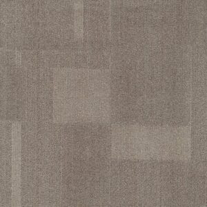 Vivid 202 - Always Buff