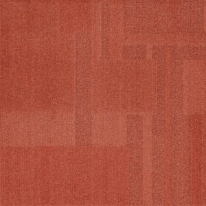 Vivid 202 - Apricot Nectar