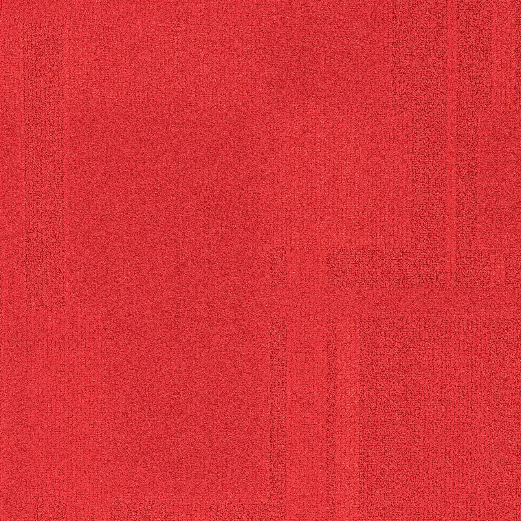 Vivid 202 - Calypso Clash