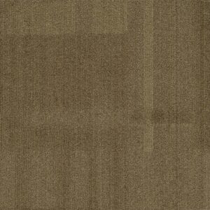 Vivid 202 - Caramel Delight