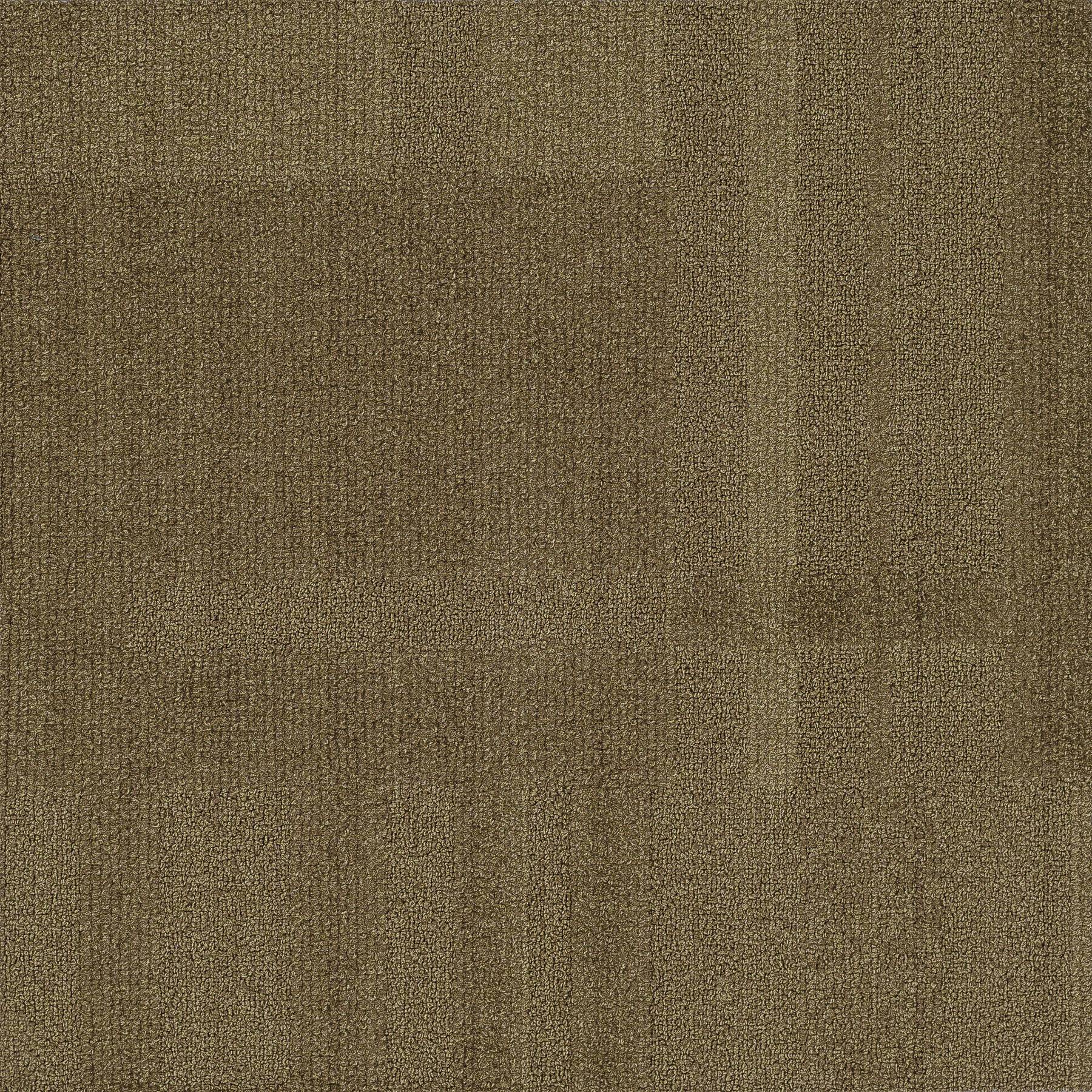 Vivid 202 - Caramel Delight