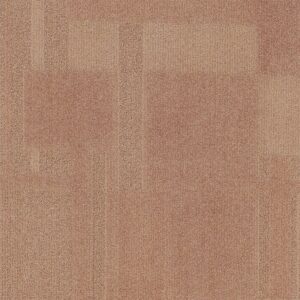 Vivid 202 - Champagne Taste