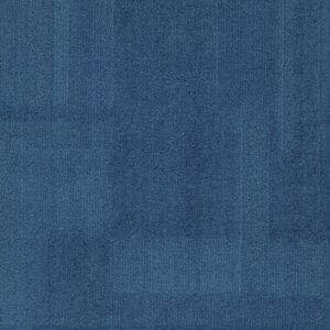 Vivid 202 - Cold Feet