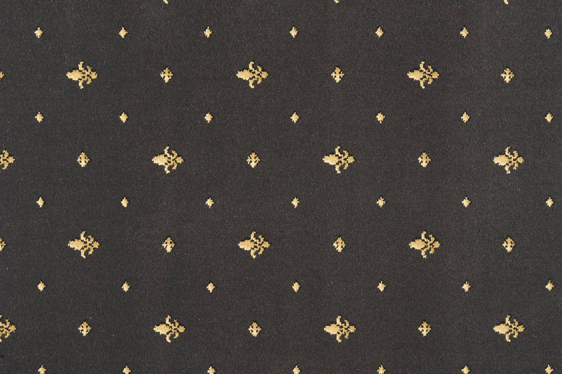 Royal Lily - Contessa