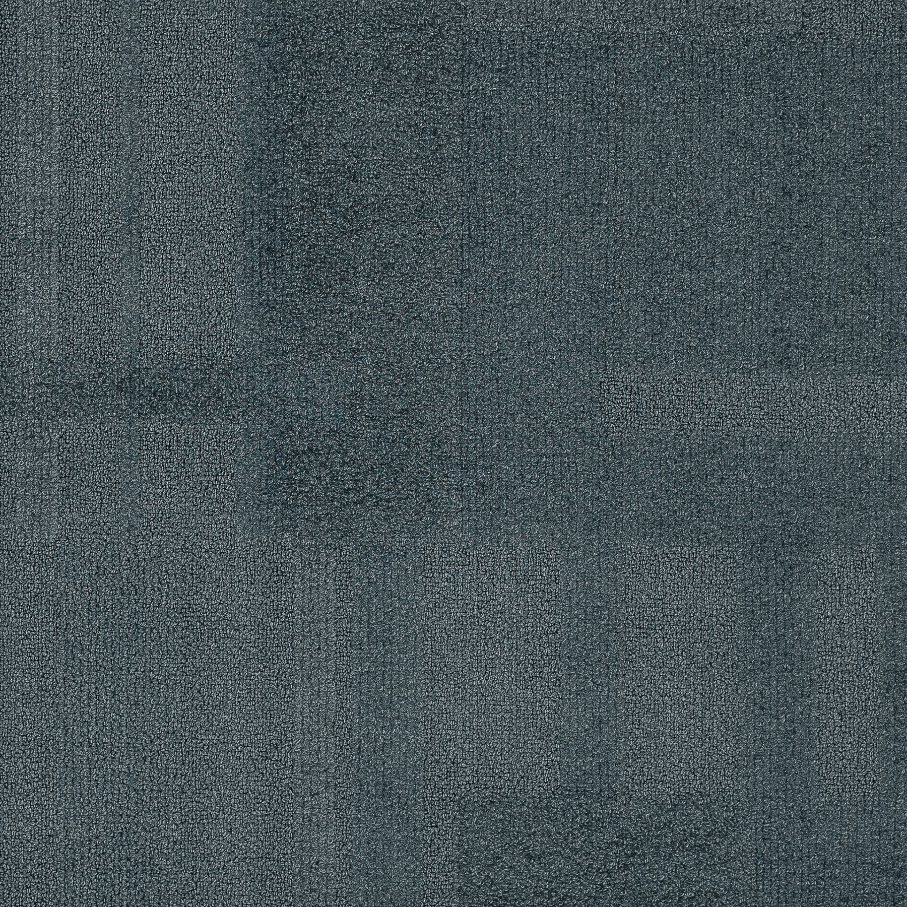 Vivid 202 - Cool Cats