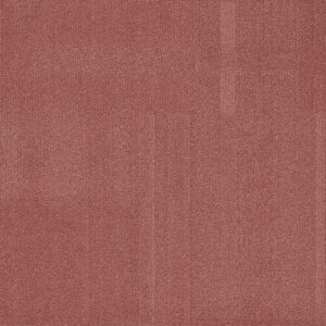 Vivid 202 - Coral Coast