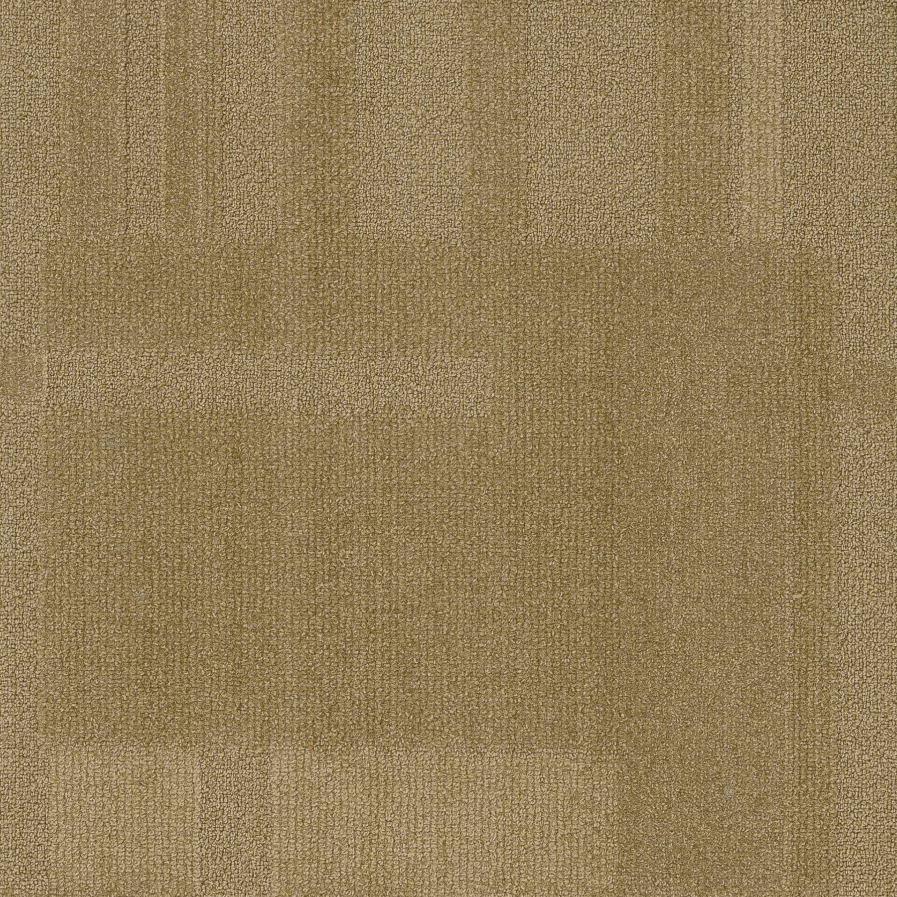 Vivid 202 - Crunchy Cashew