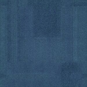 Vivid 202 - Designer Denim