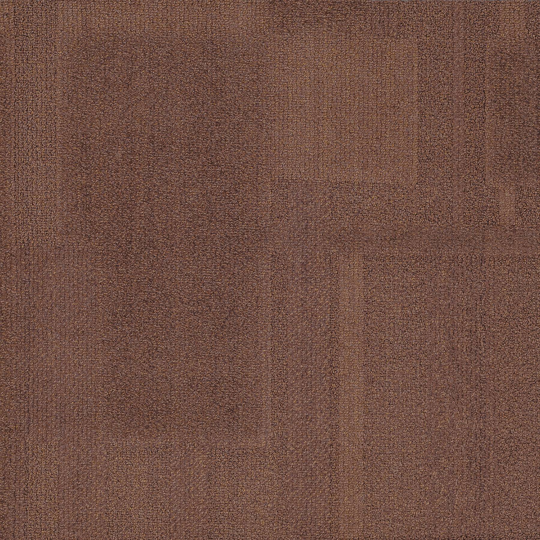 Vivid 202 - Dirt Bag