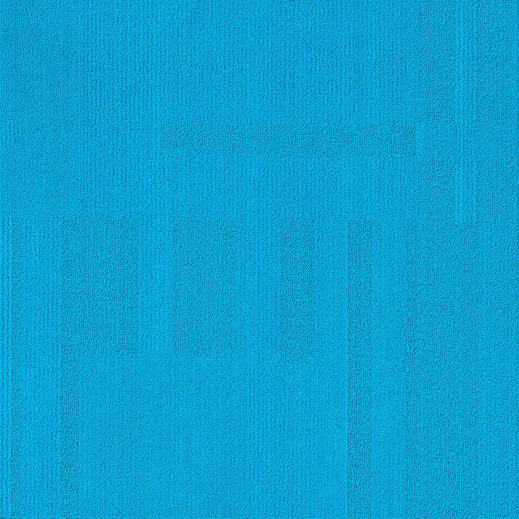 Vivid 202 - Electric Blue