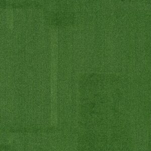 Vivid 202 - Fab Fern