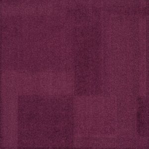 Vivid 202 - Fancy Pansy