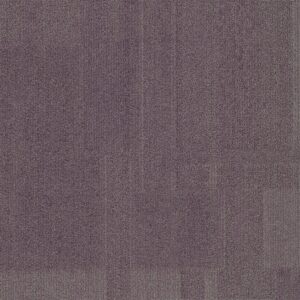 Vivid 202 - Fickle Thistle