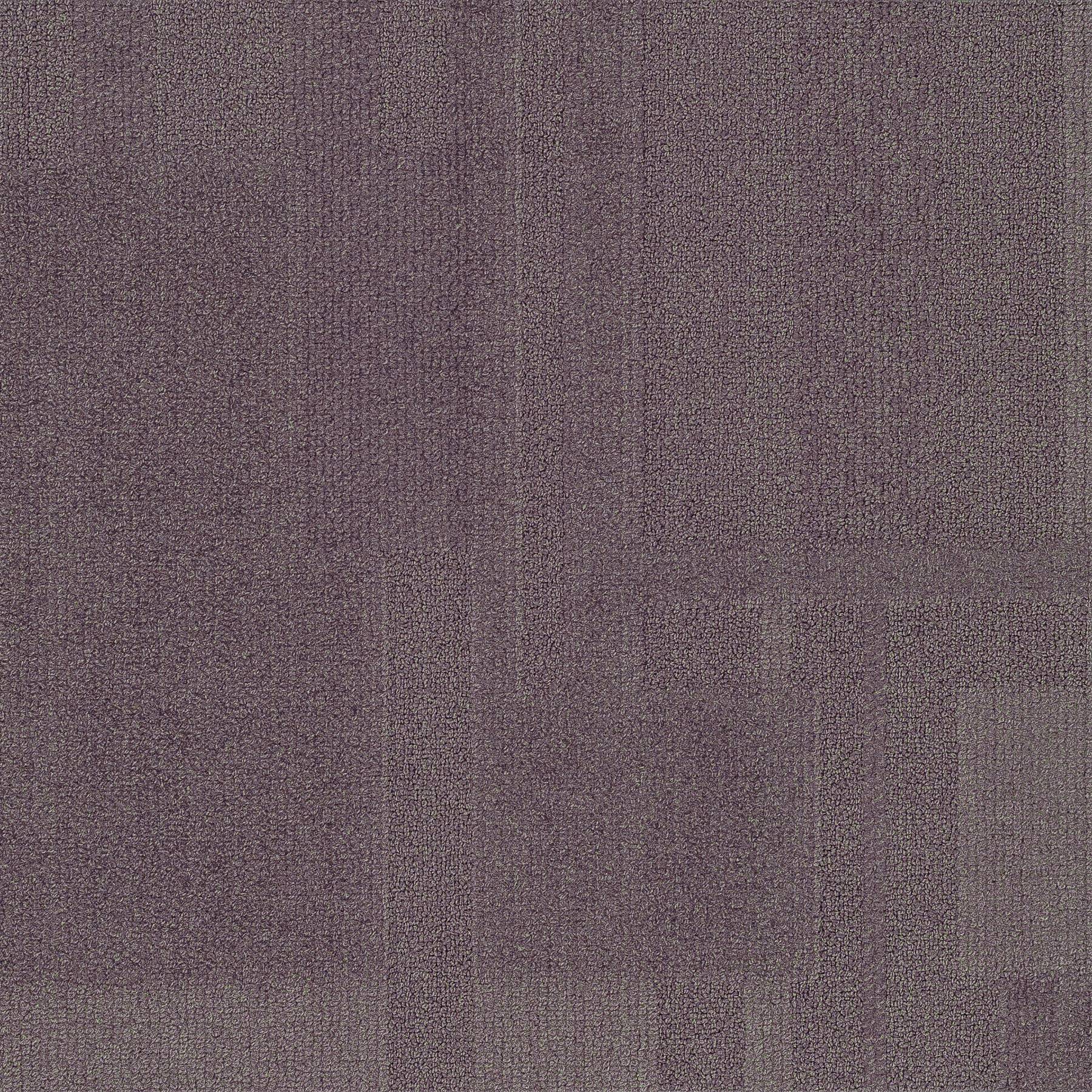 Vivid 202 - Fickle Thistle