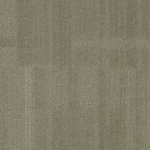 Vivid 202 - Fiddy Cent