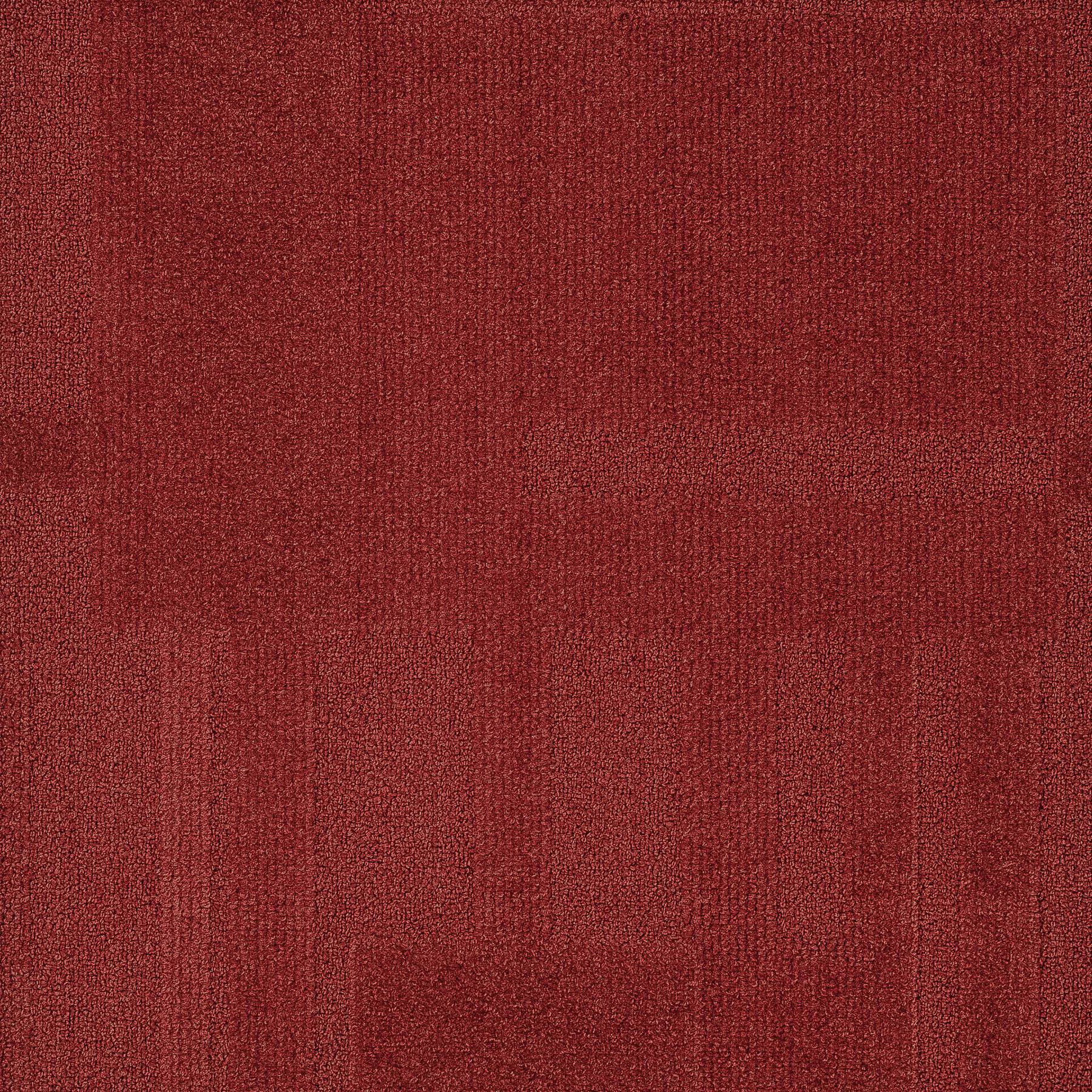 Vivid 202 - Fire Cracker