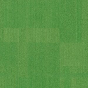 Vivid 202 - Freckled Frog