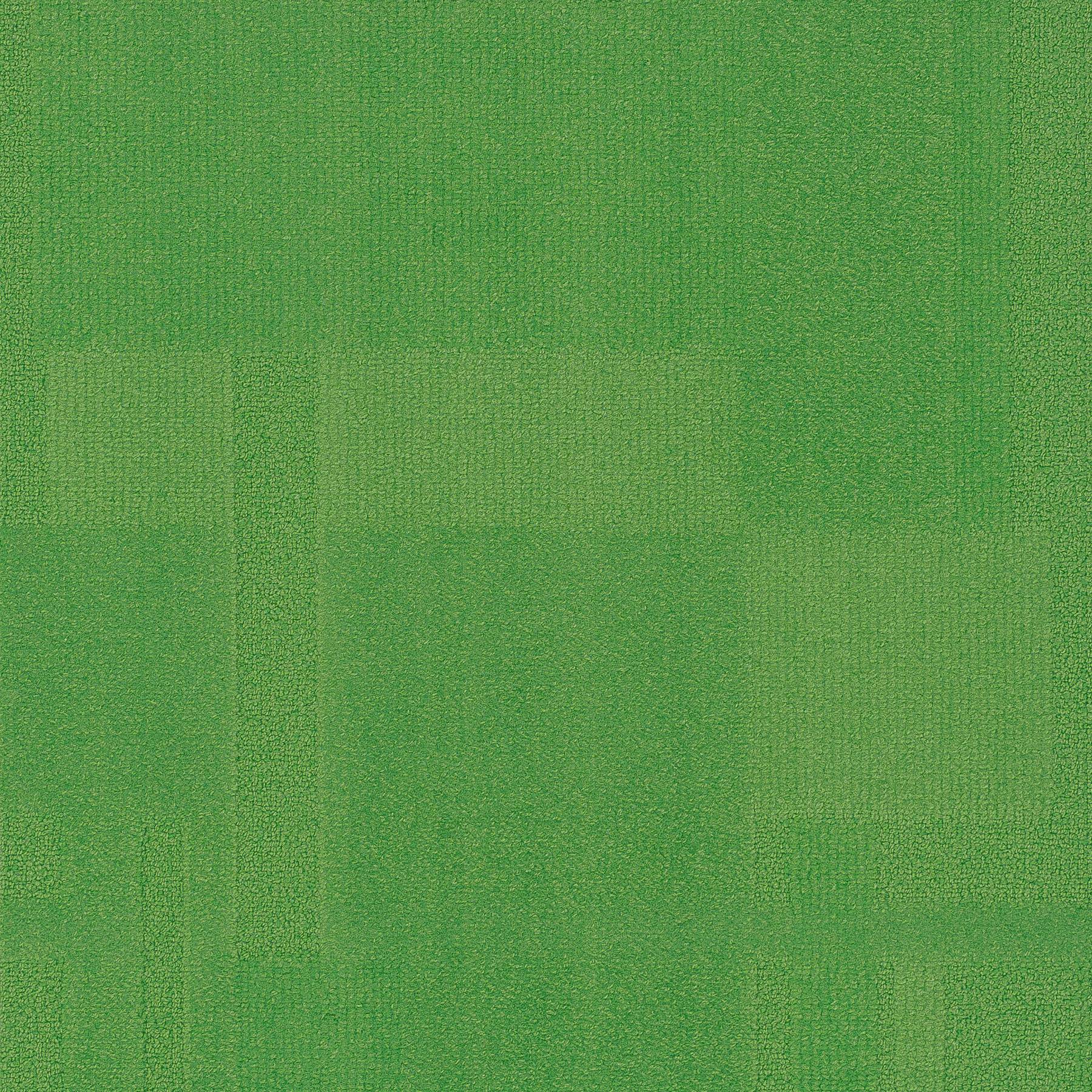 Vivid 202 - Freckled Frog