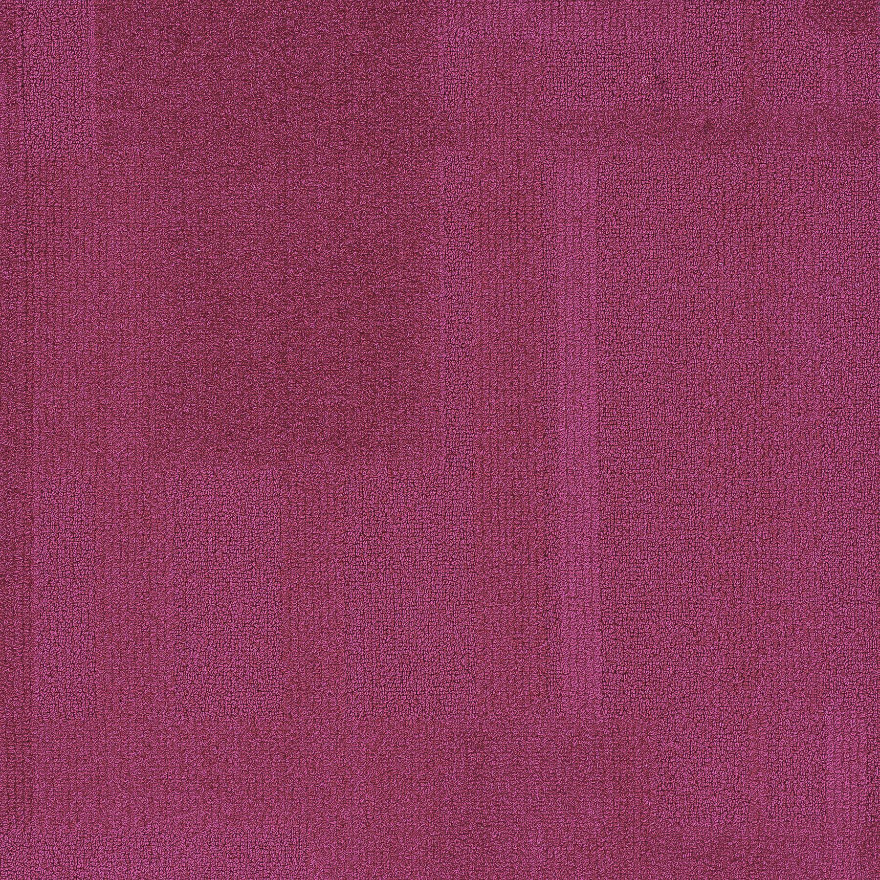 Vivid 202 - Fuchsia Fusion