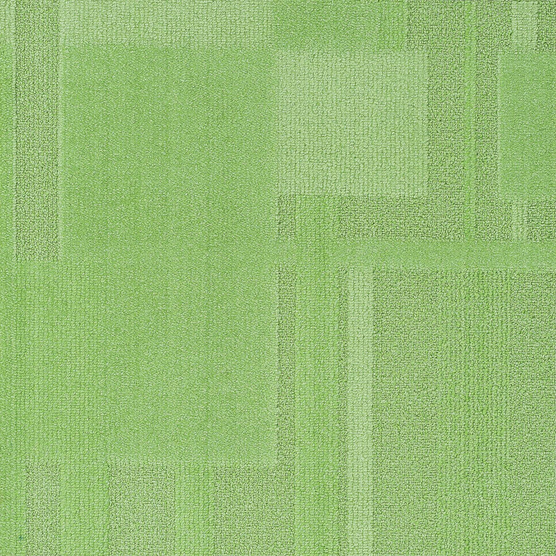 Vivid 202 - Glow Worm