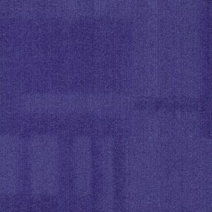 Vivid 202 - Grape Escape