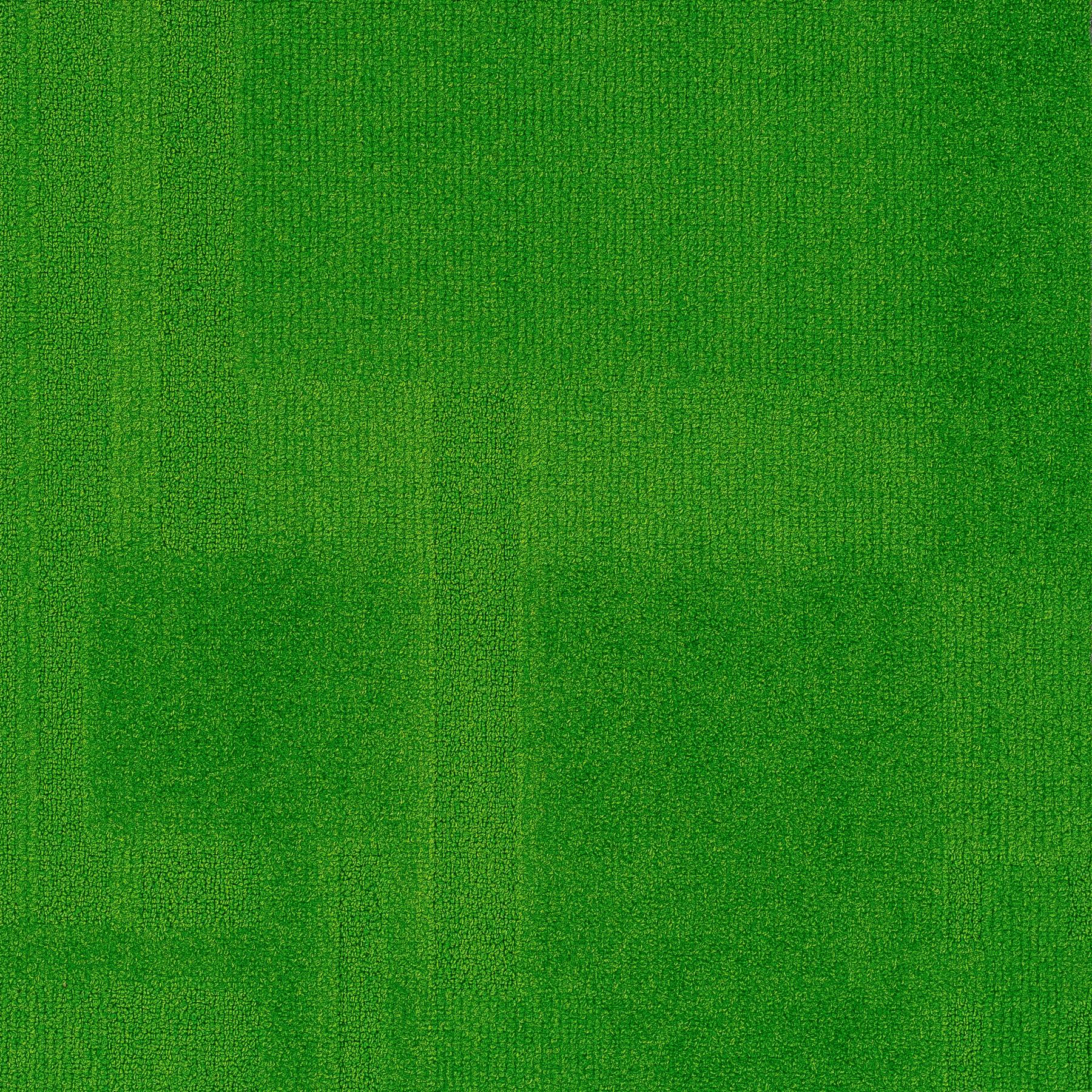 Vivid 202 - Grassy Knoll