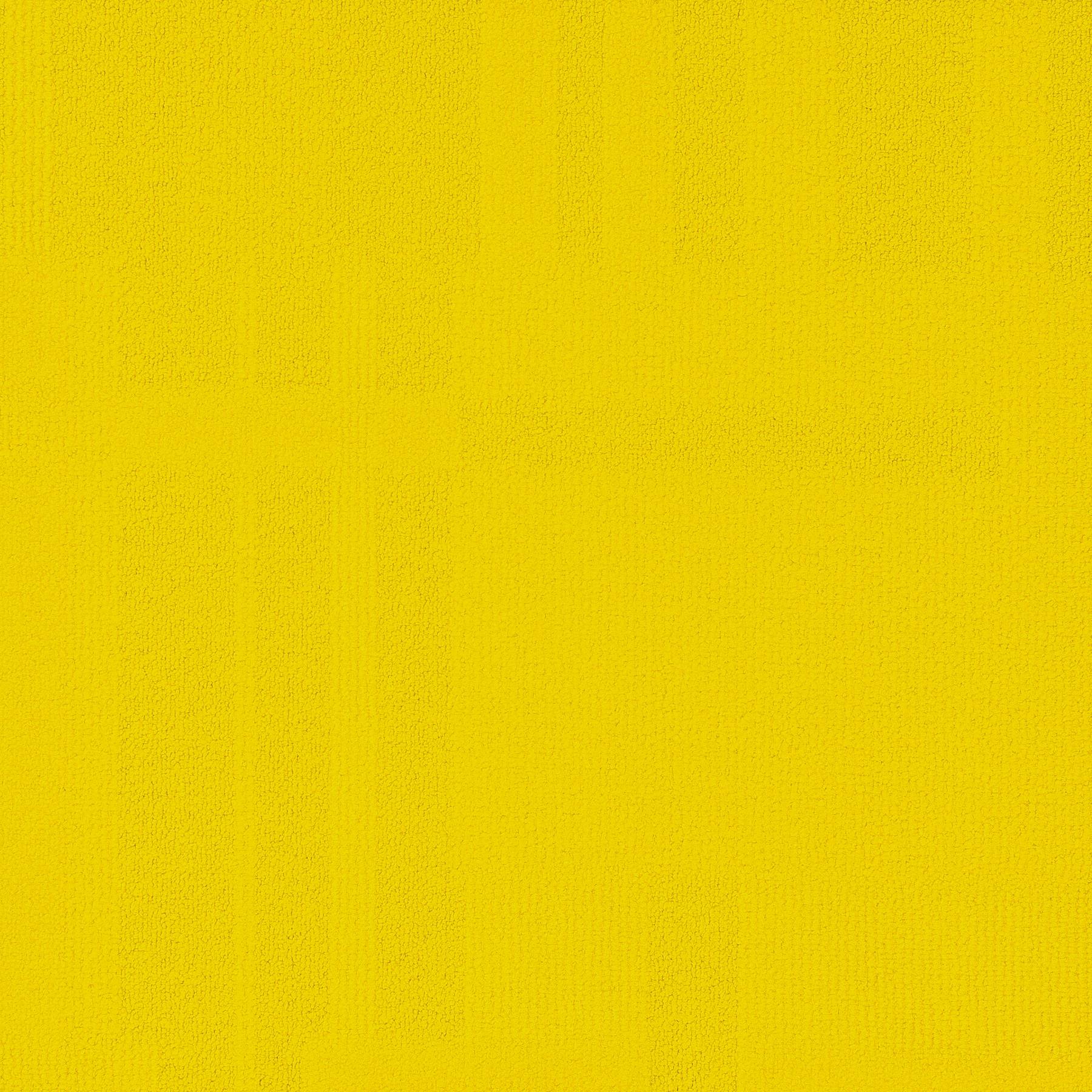 Vivid 202 - Hairy Canary