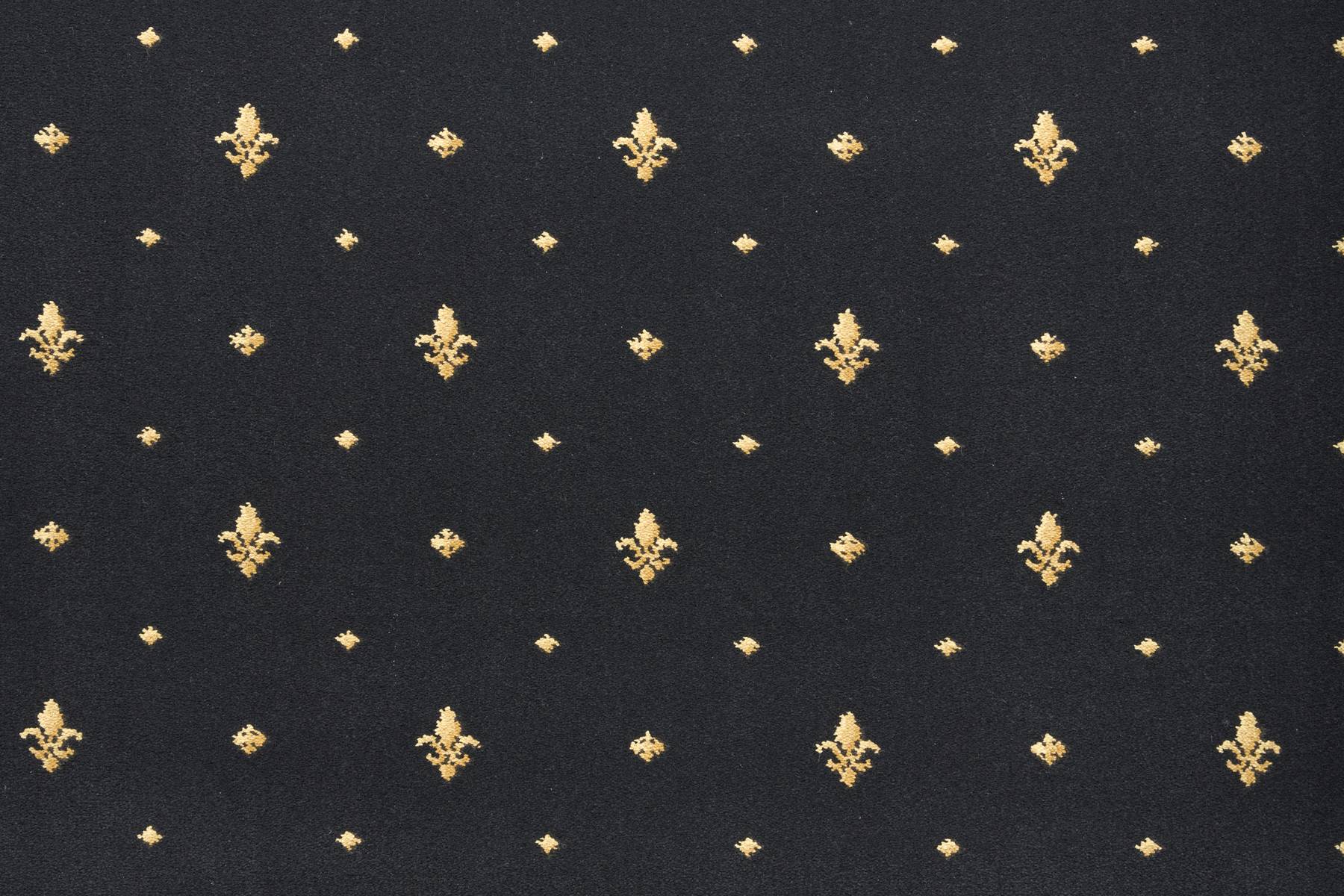 Royal Lily - Harlington