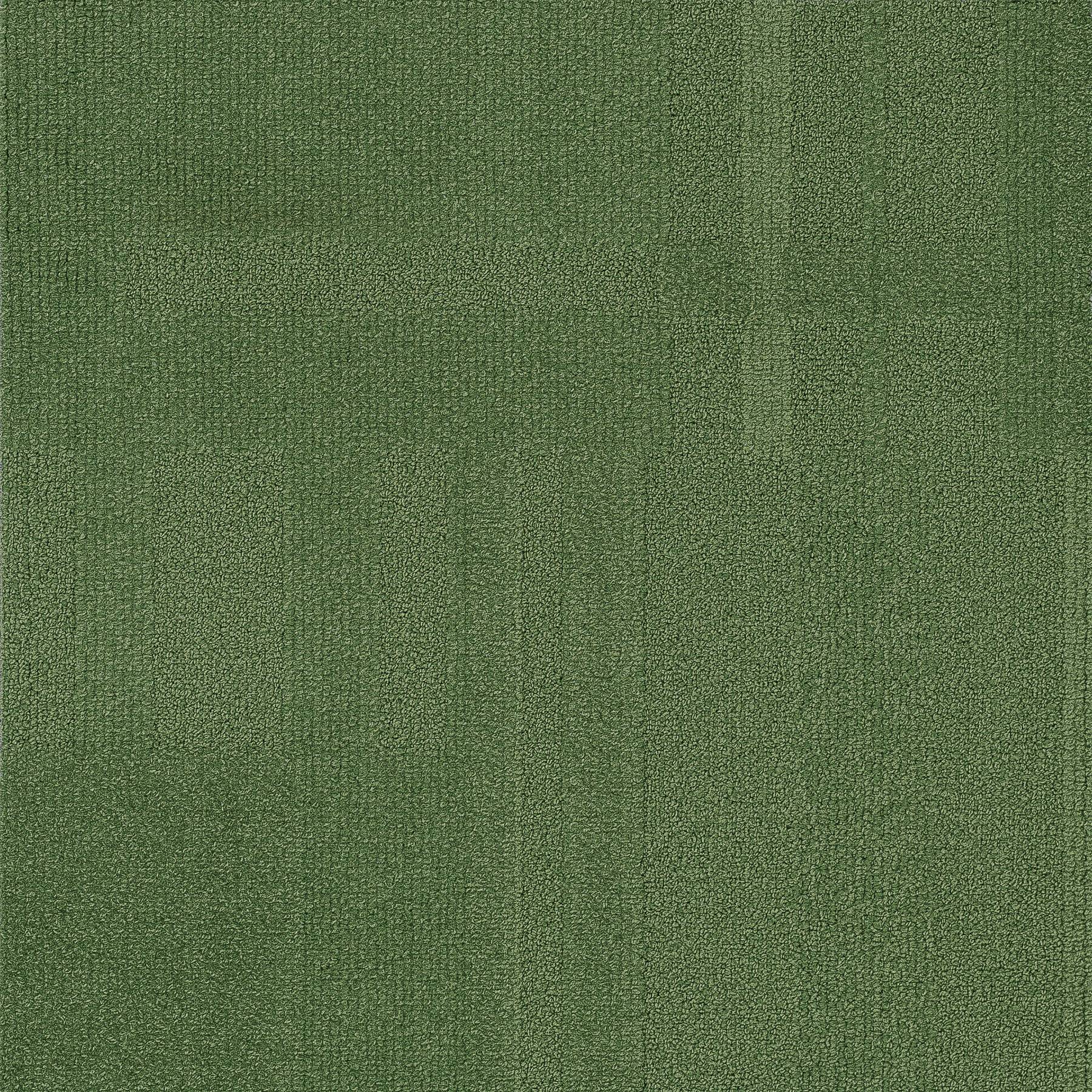 Vivid 202 - Hey Pesto