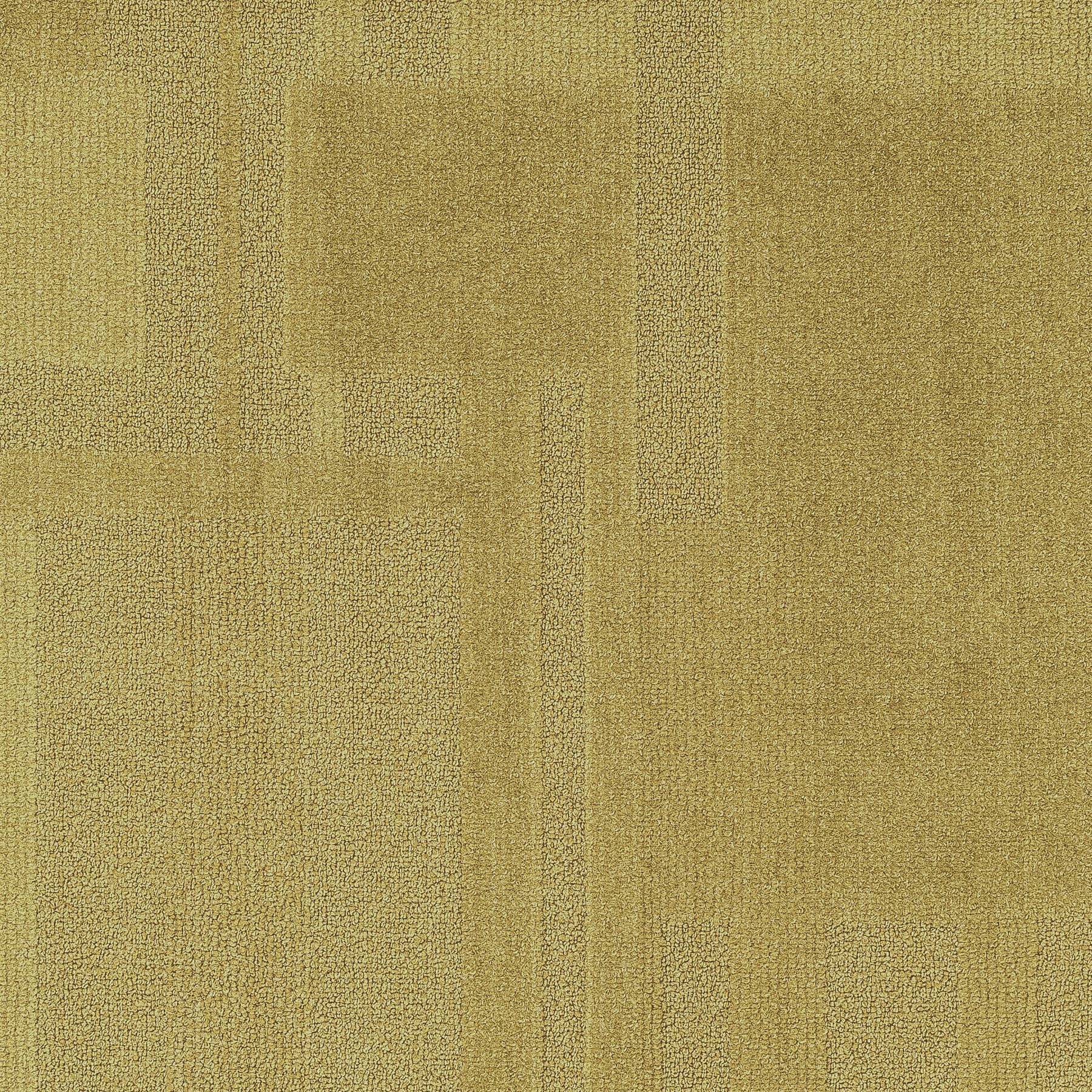 Vivid 202 - Hold Gold