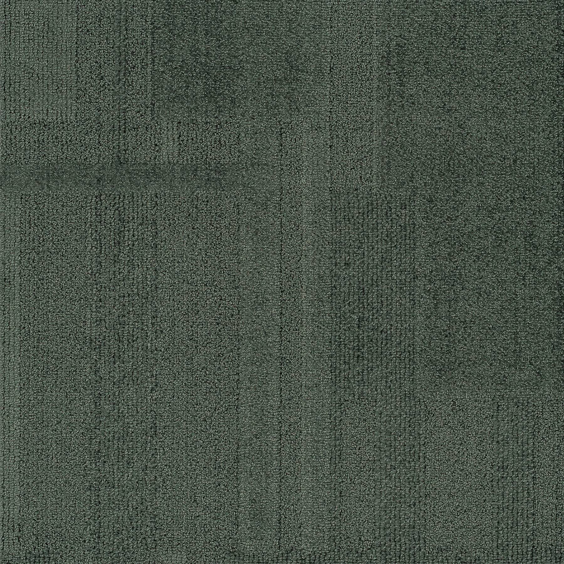 Vivid 202 - I'm Swamped