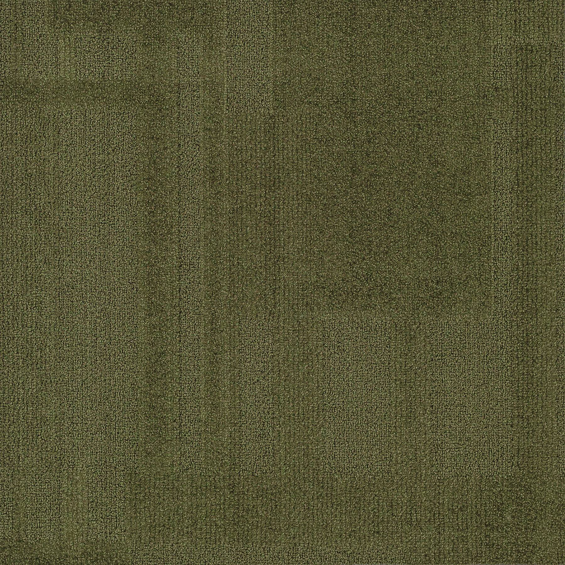 Vivid 202 - Inner Pickle