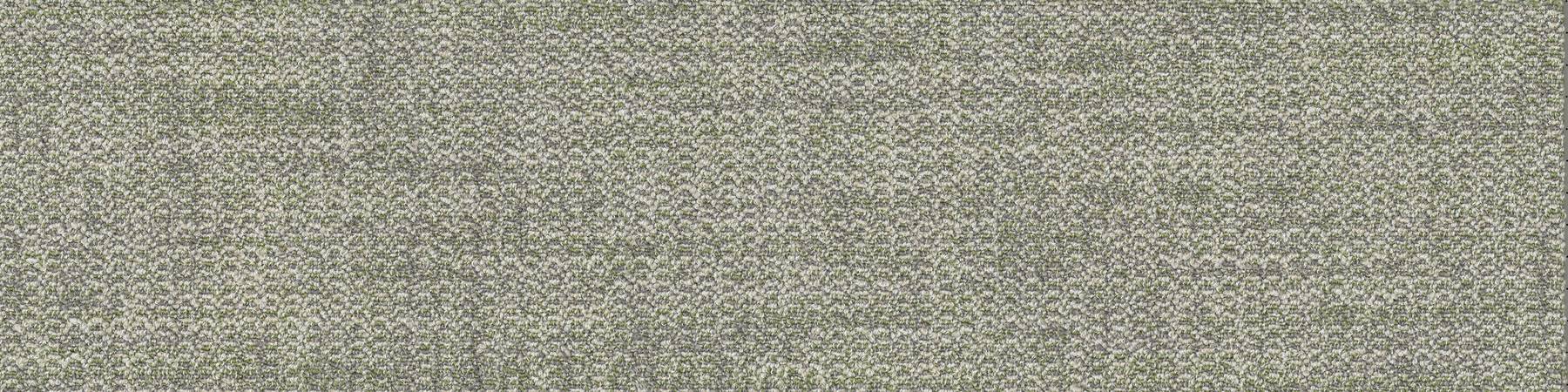 Thread - Knotted Pesto