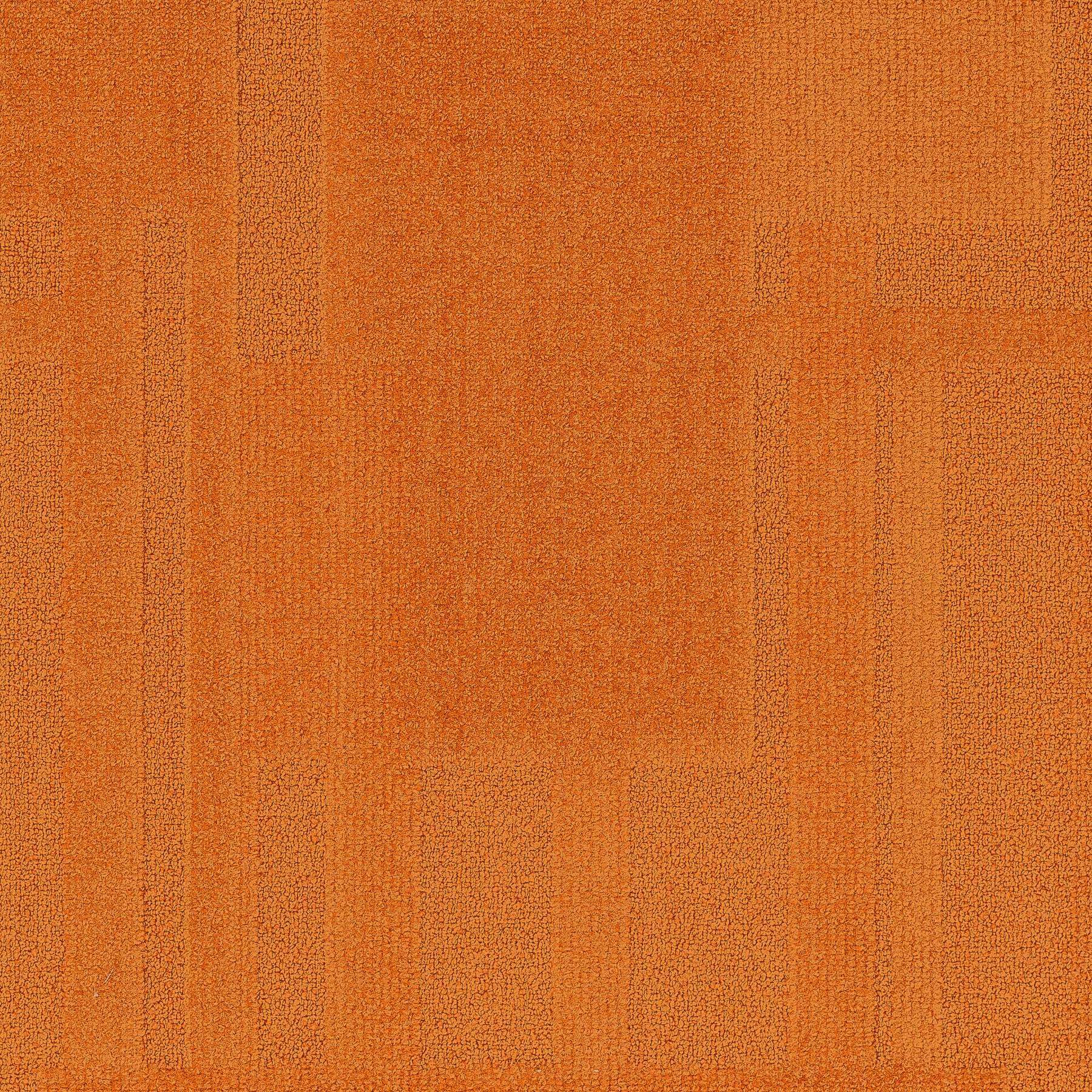 Vivid 202 - Lady Marmalade