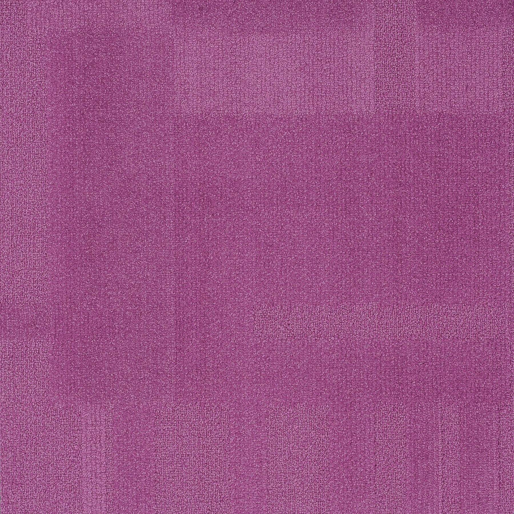 Vivid 202 - Lavender Field