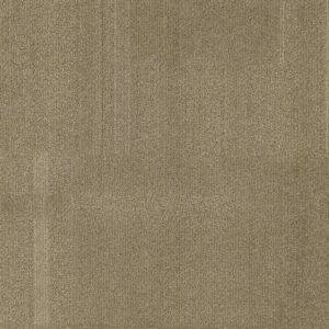 Vivid 202 - Llama Drama