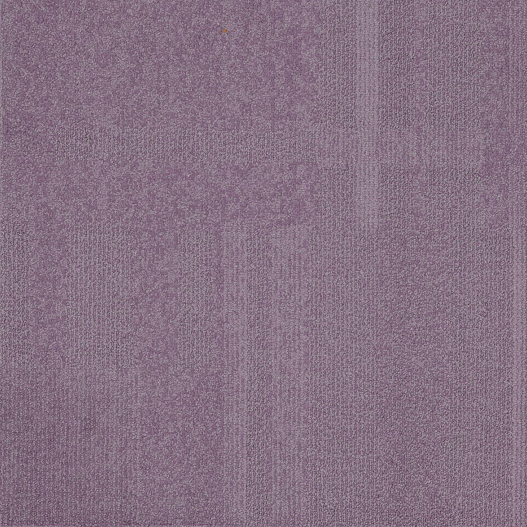 Vivid 202 - Lucky Lilac