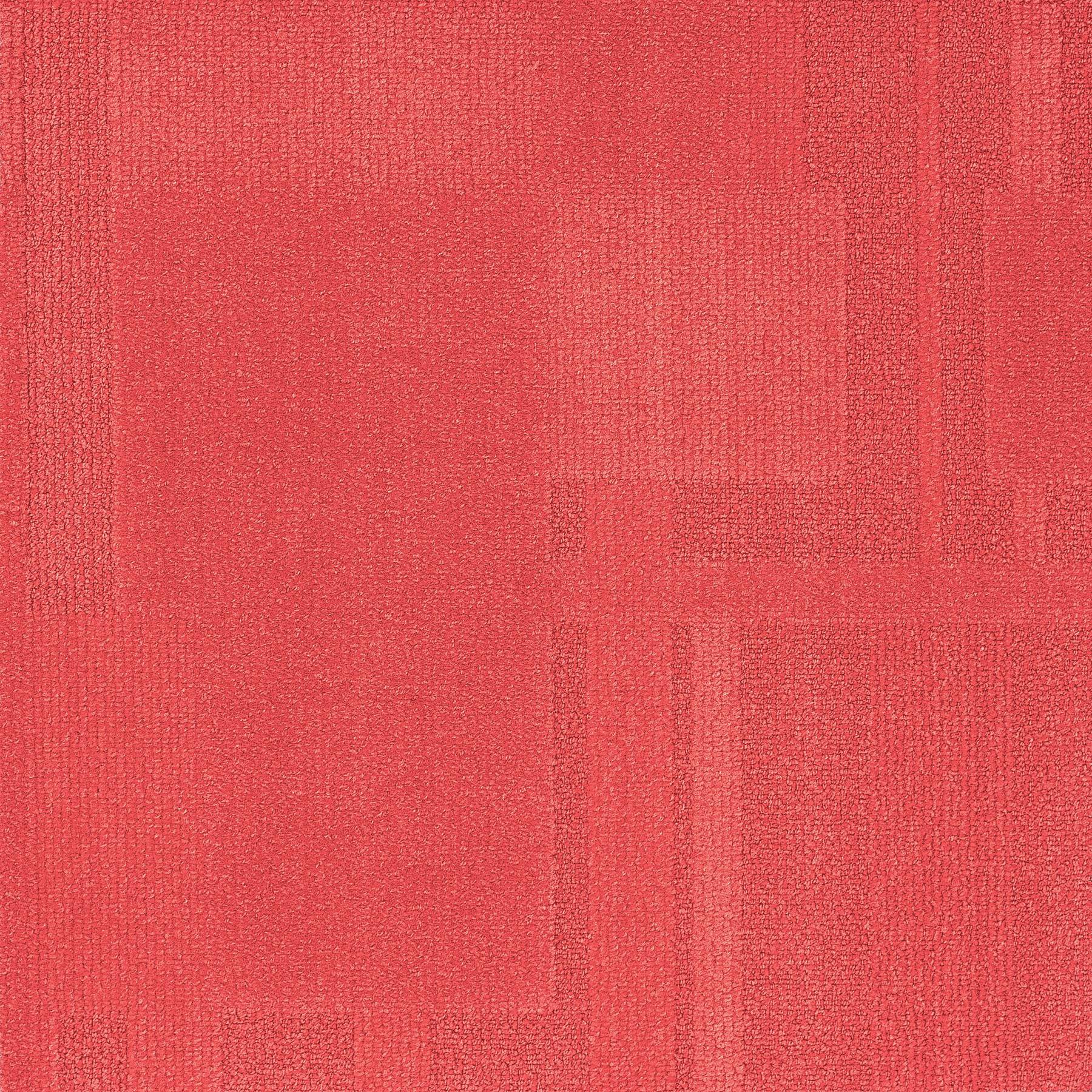 Vivid 202 - Lychee Granita