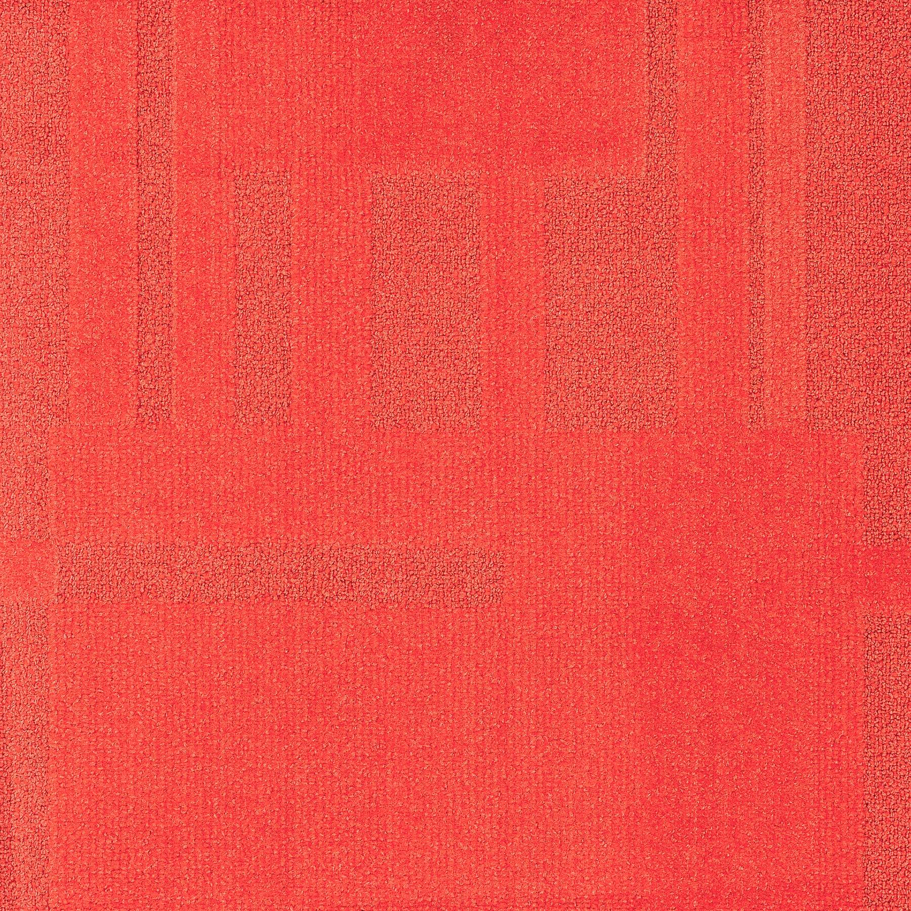 Vivid 202 - Melon Rouge