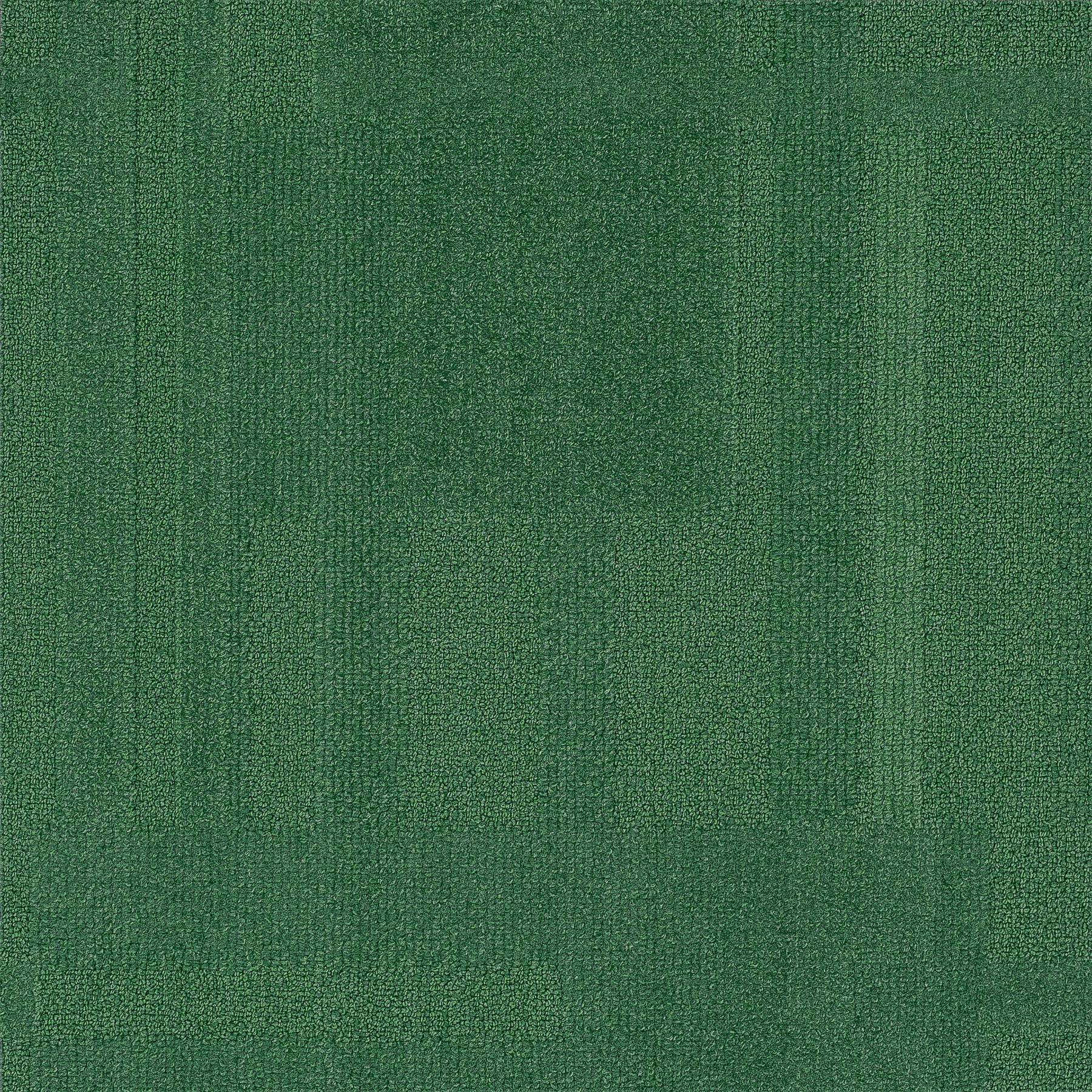 Vivid 202 - Met Your Matcha