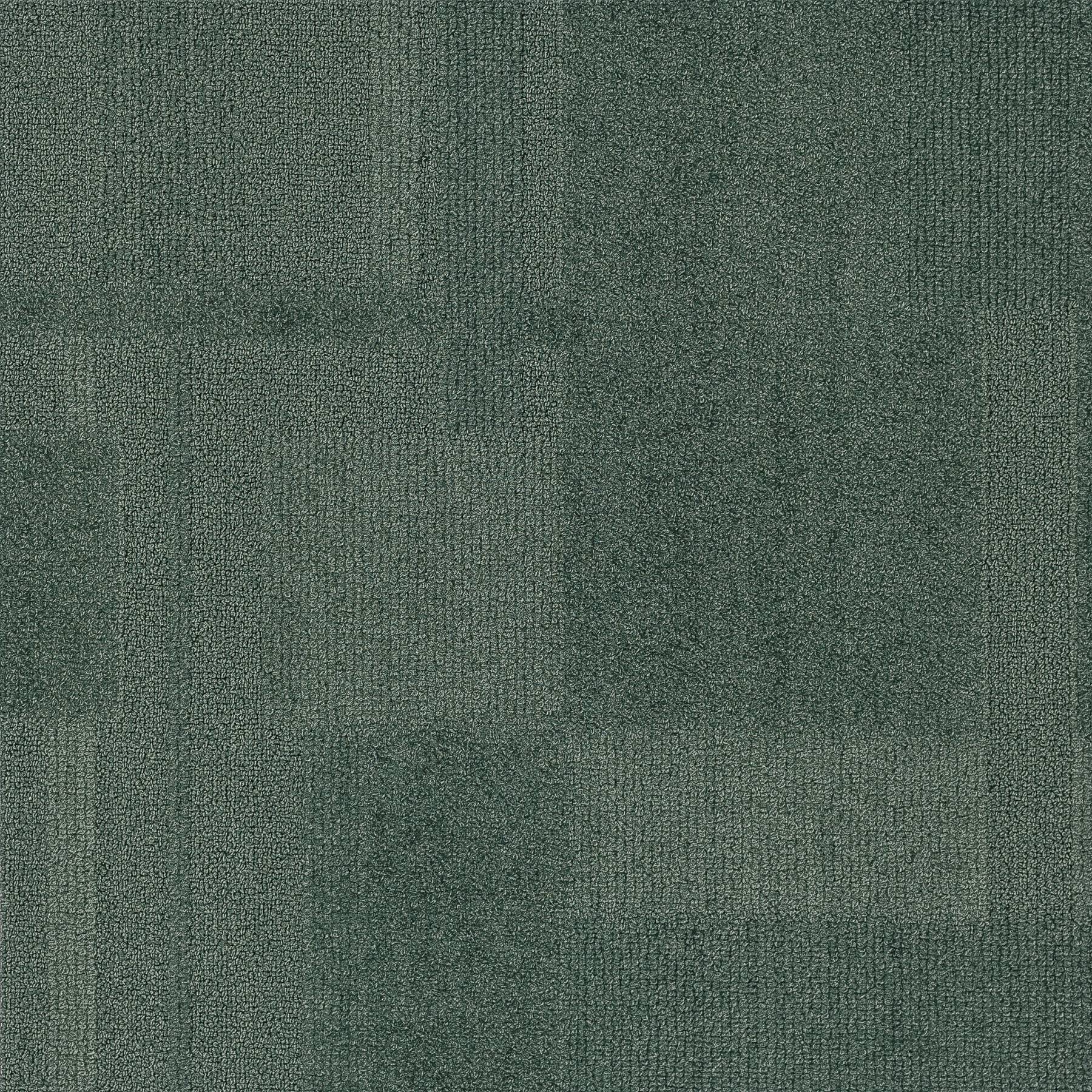 Vivid 202 - Moss Boss