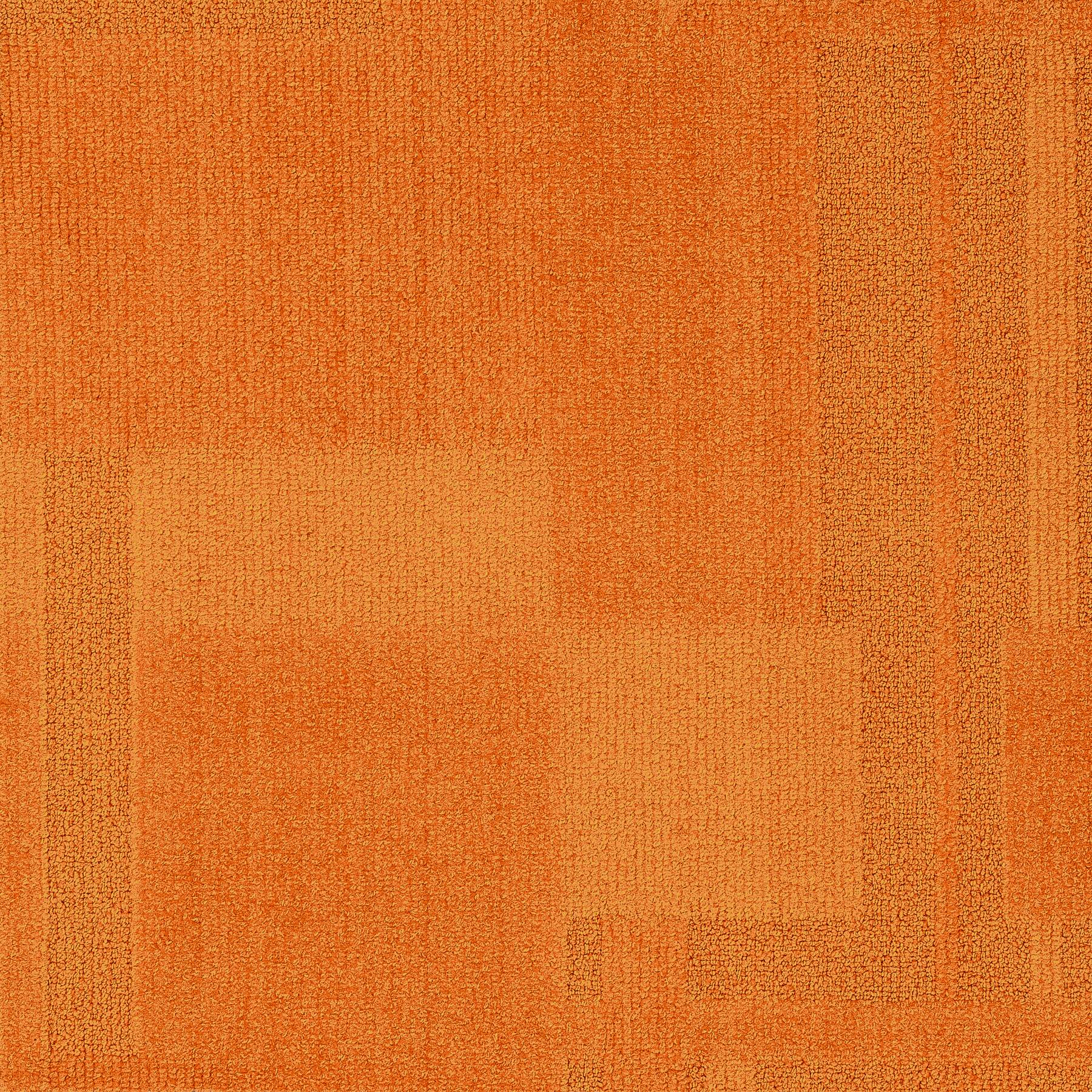 Vivid 202 - Neon Blaze