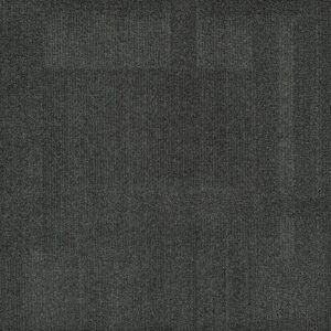 Vivid 202 - Night Crawler