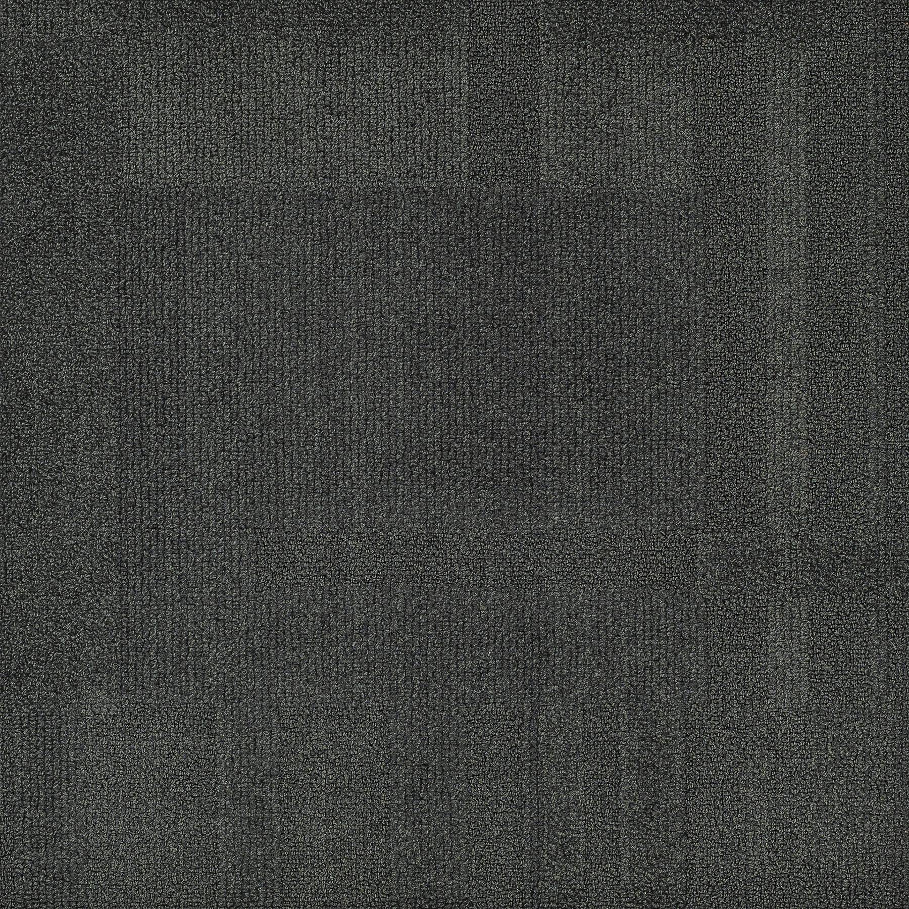 Vivid 202 - Night Crawler