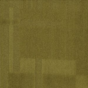 Vivid 202 - Olive Oil