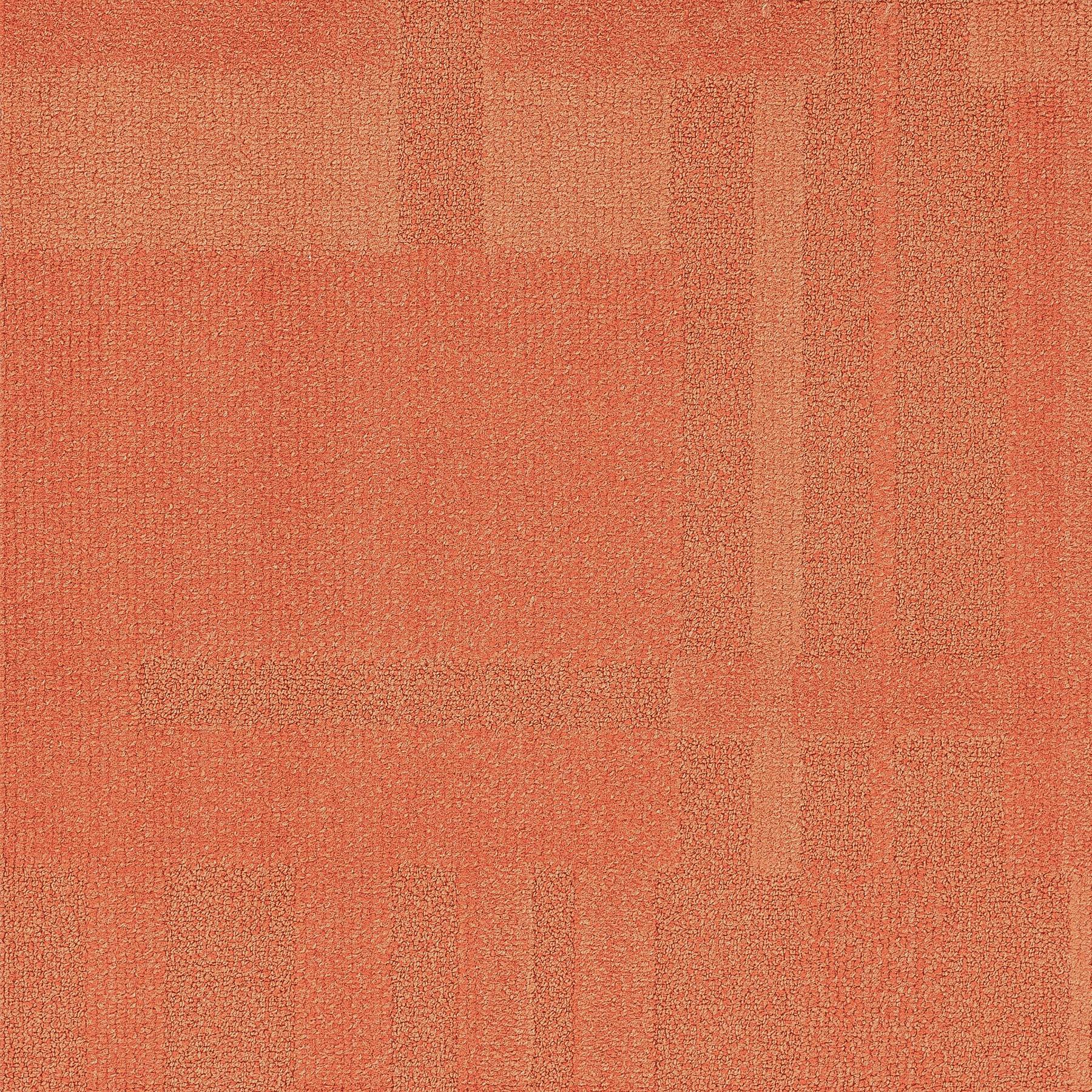 Vivid 202 - Papa Paprika