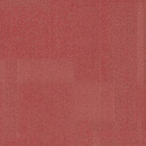 Vivid 202 - Peachy Keen