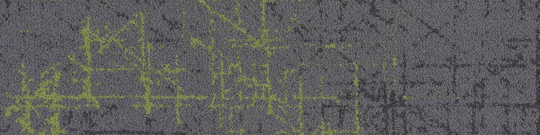 Refract - Penta Pistachio