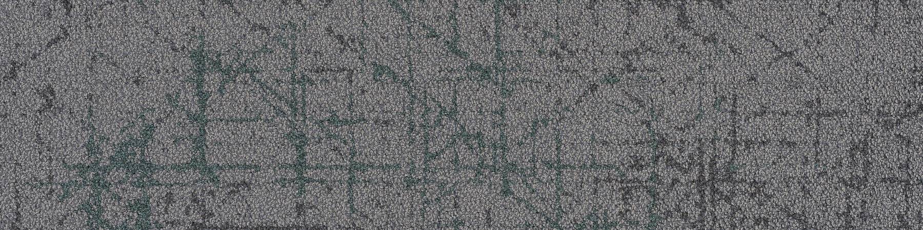 Refract - Penta Spruce