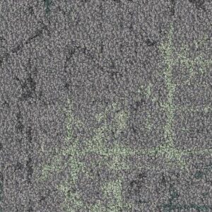 Reflect - Penta Swamped Spruce